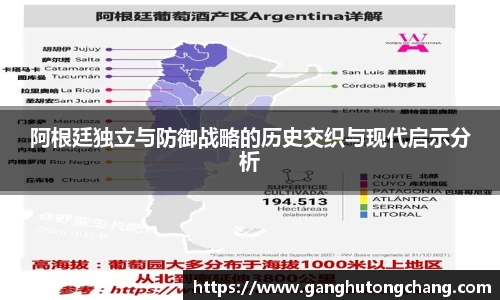 阿根廷独立与防御战略的历史交织与现代启示分析